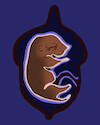 Cartoon: Acorn... (small) by berk-olgun tagged squirrel,fetus