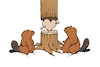 Cartoon: Beaver in Love... (small) by berk-olgun tagged beaver,in,love