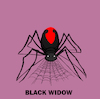 Cartoon: Black Widow.. (small) by berk-olgun tagged black,widow