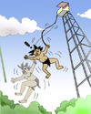 Cartoon: Bungee.. (small) by berk-olgun tagged bungee