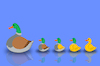 Cartoon: Duck Family... (small) by berk-olgun tagged duck,family