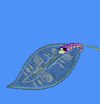 Cartoon: Lace... (small) by berk-olgun tagged caterpillar