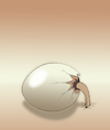 Cartoon: Ostrich Egg... (small) by berk-olgun tagged ostrich