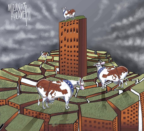 Cartoon: some cows (medium) by Marian Avramescu tagged mmmmmmmmm