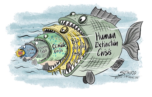 Fish eats fish Fish eats fish