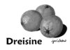 Cartoon: Dreisine grau (small) by jerichow tagged draisine,orange,apfelsine,drei,obst,satire,wortspiel,pflanzen,zitrusfrüchte,db,missverständnis