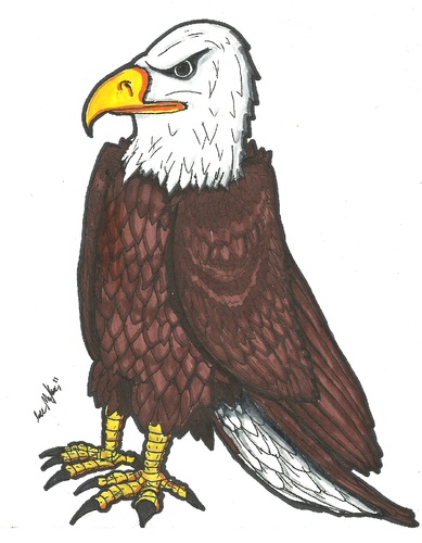 Cartoon: American Bald Eagle (medium) by m-crackaz tagged kaycee,eagle,bald,great,american