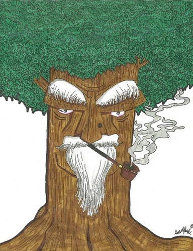 Cartoon: The wise old tree (medium) by m-crackaz tagged tree,shakin,leaf,leaves,trunk,wood,old