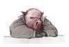 Cartoon: du musst kein schwein sein (small) by jenapaul tagged pig,politics,people,animals,tiere,menschen