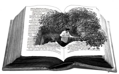 Cartoon: Book (medium) by zu tagged book,delve