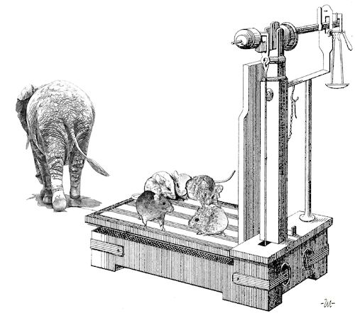 Cartoon: Scala (medium) by zu tagged elephant,mice,scala