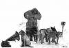 Cartoon: Antarctica (small) by zu tagged antarctis,his,masters,voice
