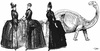 Cartoon: Mode (small) by zu tagged mode dino victorian