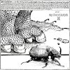 Cartoon: Rhinoceros Beetle (small) by zu tagged rhinoceros,beetle