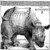 Cartoon: Rhynocerus (small) by zu tagged rhynoceros,dürer