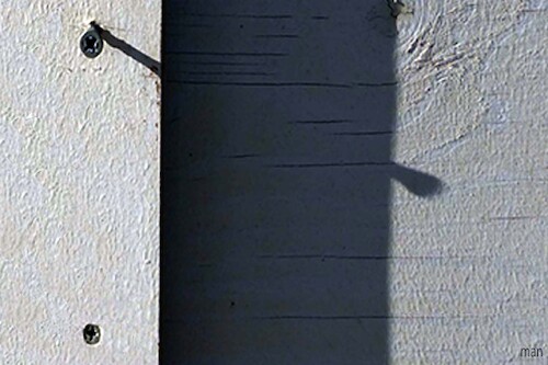 Cartoon: ombre superiori (medium) by Enzo Maneglia Man tagged fotografia