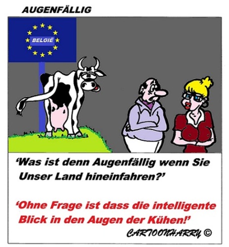 Cartoon: Augenfällig (medium) by cartoonharry tagged augenfällig,kuh,belgien,intelligent,augen,cartoon,cartoonist,cartoonharry,dutch,toonpool