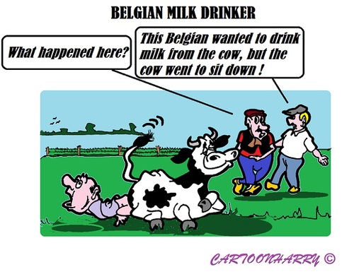 Cartoon: Belgians and Cows (medium) by cartoonharry tagged cow,sit,milk,belgian,drink
