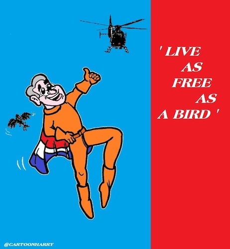 Cartoon: Bird Wise (medium) by cartoonharry tagged bird