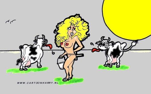 Cartoon: Cow Girl (medium) by cartoonharry tagged illustration,cartoon,cartoonharry,cowgirl,girl,cows,sexy