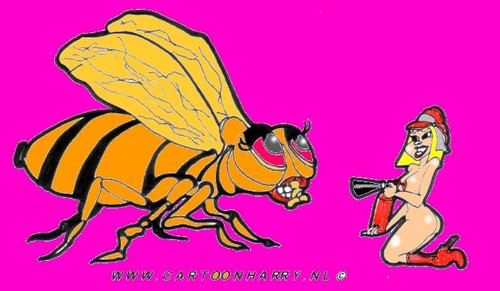 Cartoon: Dutch Fly (medium) by cartoonharry tagged insects,girls,nude,cartoonharry,dutch,cartoonist,toonpool
