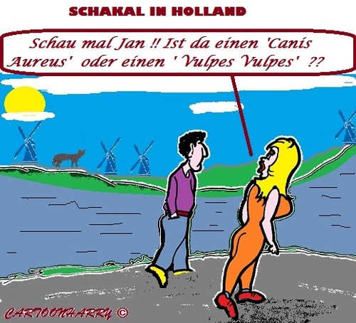 Cartoon: Endlich (medium) by cartoonharry tagged schakal,holland