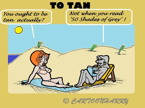 Cartoon: Fifty Shades (medium) by cartoonharry tagged sea,dunes,shades,grey,book,film