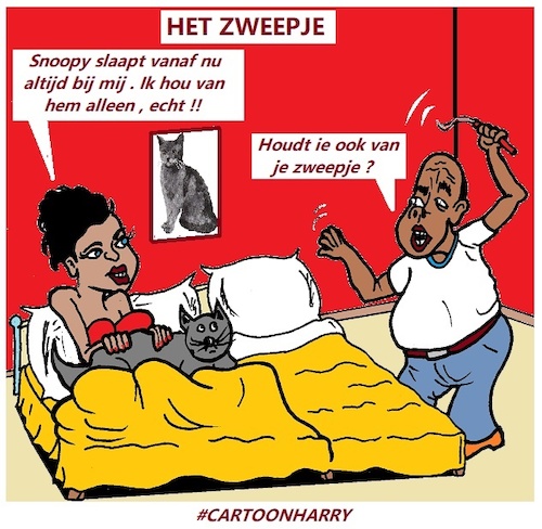 Cartoon: Het Zweepje (medium) by cartoonharry tagged poes,zweep,cartoonharry