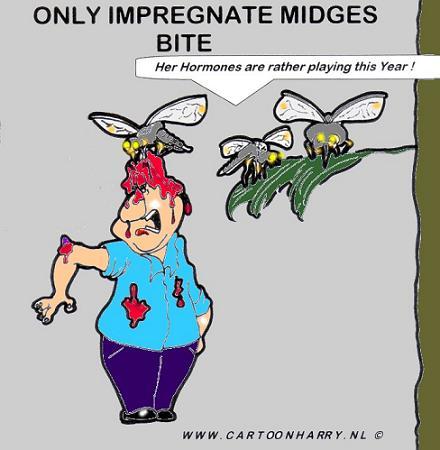 Cartoon: Midges-Bite (medium) by cartoonharry tagged hormones,female,midge,bite,cartoonharry,impregnate