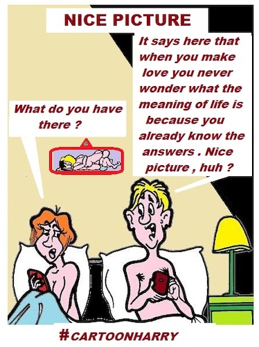 Cartoon: Nice Picture (medium) by cartoonharry tagged picture,cartoonharry