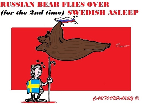 Cartoon: Russian Bear (medium) by cartoonharry tagged sweden,russia,airforce,asleep,guard,asterix,cartoons,cartoonists,cartoonharry,dutch,toonpool