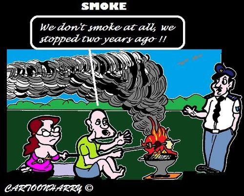 Cartoon: Smoke (medium) by cartoonharry tagged bbq,smoke,police,angry,neighbours