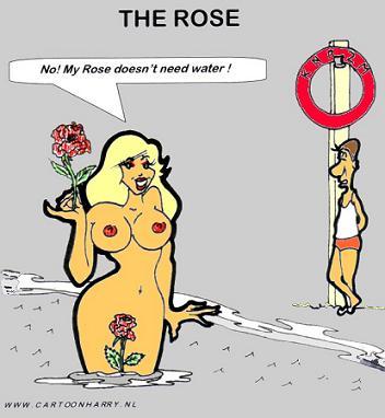 Cartoon: The Rose (medium) by cartoonharry tagged girls,naked,water,rose