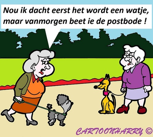 Cartoon: Watje (medium) by cartoonharry tagged hondje,watje,oma,praatje,postbode,cartoon,cartoonist,cartoonharry,dutch,toonpool