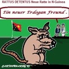 Cartoon: Ein Neuer Erdogan Freund (small) by cartoonharry tagged freund,ratte,rattusdetentus,erdogan,neuguinea