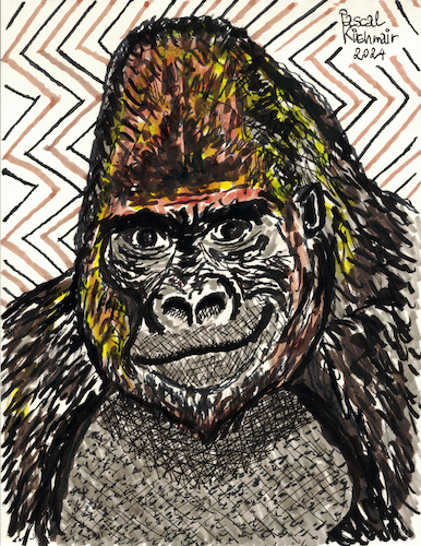 Cartoon: Gorilla (medium) by Pascal Kirchmair tagged muscleman,gorilla,mountain,berggorilla,beringei,western,lowland,gorille,gorila,illustration,ink,drawing,zeichnung,pascal,kirchmair,cartoon,caricature,karikatur,ilustracion,dibujo,desenho,ilustracao,illustrazione,illustratie,dessin,de,presse,tekening,teckning,cartum,vineta,comica,vignetta,caricatura,tusche,tuschezeichnung,portrait,retrato,porträt,ritratto,art,arte,kunst,artwork,encre,chine,tinta,china,inchiostro,nanquim,painting,pintura,peinture,dipinto,malerei,pittura,muscleman,gorilla,mountain,berggorilla,beringei,western,lowland,gorille,gorila,illustration,ink,drawing,zeichnung,pascal,kirchmair,cartoon,caricature,karikatur,ilustracion,dibujo,desenho,ilustracao,illustrazione,illustratie,dessin,de,presse,tekening,teckning,cartum,vineta,comica,vignetta,caricatura,tusche,tuschezeichnung,portrait,retrato,porträt,ritratto,art,arte,kunst,artwork,encre,chine,tinta,china,inchiostro,nanquim,painting,pintura,peinture,dipinto,malerei,pittura