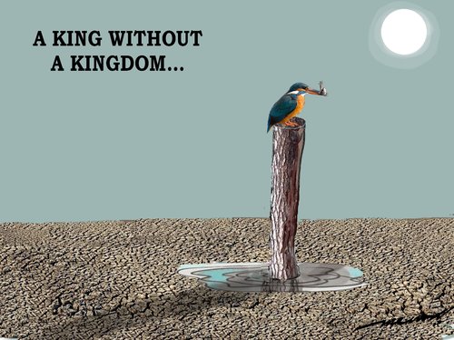 Cartoon: king and his kingdom (medium) by kar2nist tagged kingfisher,globalwarming