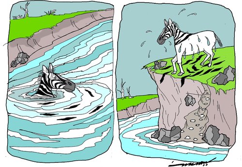 Cartoon: mara crossing (medium) by kar2nist tagged zebra,masaimara,crossing