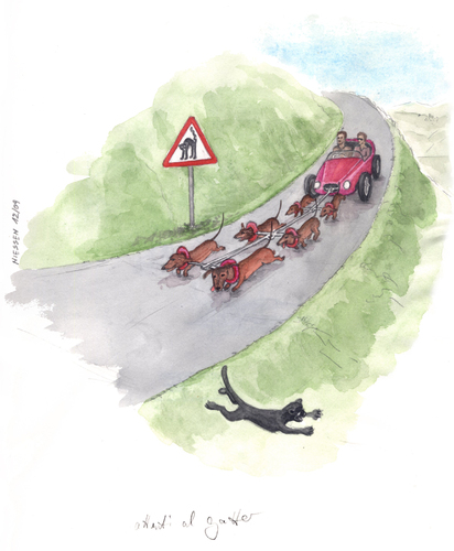 Cartoon: attenti al gatto (medium) by Niessen tagged cat,car,dogs,transportations,danger