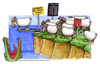 Cartoon: Pecore in coda (small) by Niessen tagged pecore,numero,coccodrillo,salto,coda,sheep,number,crocodile,jump,queue,schaf,anzahl,krokodil,springen