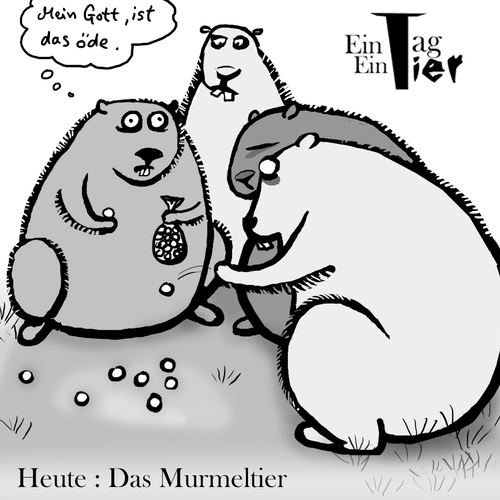 Cartoon: Das Murmeltier (medium) by Mistviech tagged tiere,natur,murmeltier,murmel,spielen,nagetier,nager