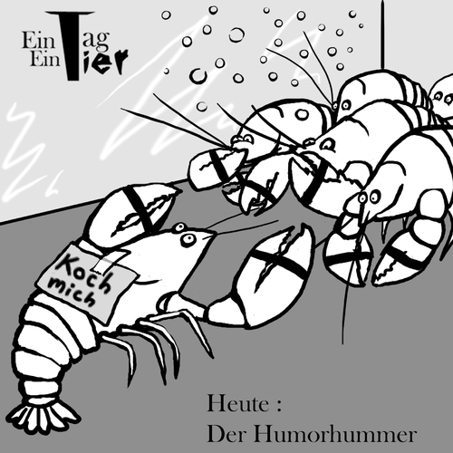 Cartoon: Der Humorhummer (medium) by Mistviech tagged tiere,natur,ein,tag,tier,hummer,humor,humorhummer,tritt,mich,koch,böse,böser