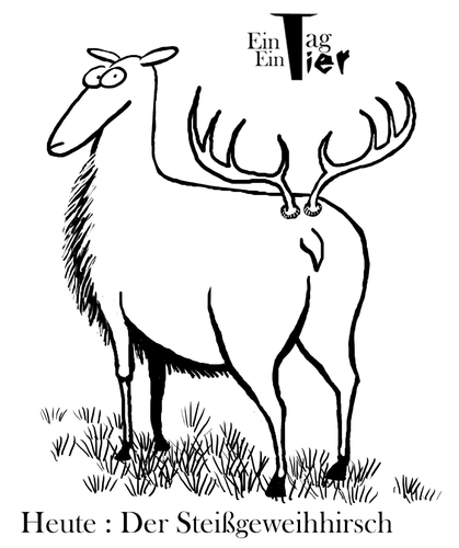 Cartoon: Der Steißgeweihhirsch (medium) by Mistviech tagged tiere,natur,hirsch,geweih,arschgeweih,steißgeweih,tattoo,tribal