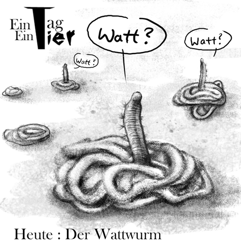 Cartoon: Der Wattwurm (medium) by Mistviech tagged norddeutsch,nordsee,schwerhörig,watt,wattwürmer,wurm,würmer,sand,meer,natur,tiere,wattenmeer
