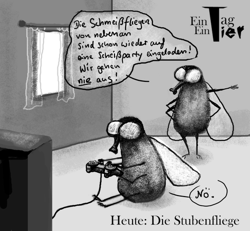 Cartoon: Die Stubenfliege (medium) by Mistviech tagged playstation,stubenhocker,stubenfliege,fliege,natur,tiere