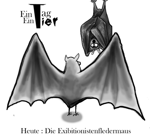 Cartoon: Exibitionistenfledermaus (medium) by Mistviech tagged tiere,natur,fledermaus,exibitionist