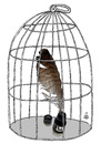 Cartoon: cage (small) by drljevicdarko tagged cage