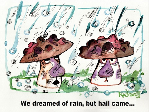 Cartoon: Mushroom summer (medium) by Kestutis tagged mushroom,summer,climate,wald,rain,hail,kestutis,lithuania