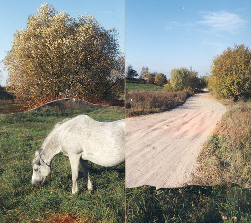 Cartoon: PUZZLE (medium) by Kestutis tagged kestutis,horse,way,nature,lithuania,summer