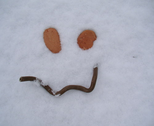 Cartoon: Smile and Snow (medium) by Kestutis tagged smile,snow,winter